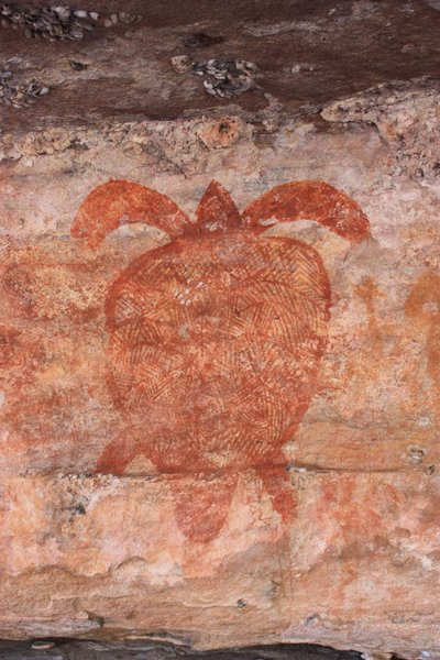 Tartaruga marinha de Unbekannt Unbekannt